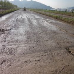 1JSL系列兩折疊水田平地?cái)嚌{機(jī)作業(yè)效果